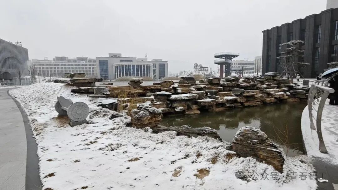微信图片_20251212204817_166_129.jpg